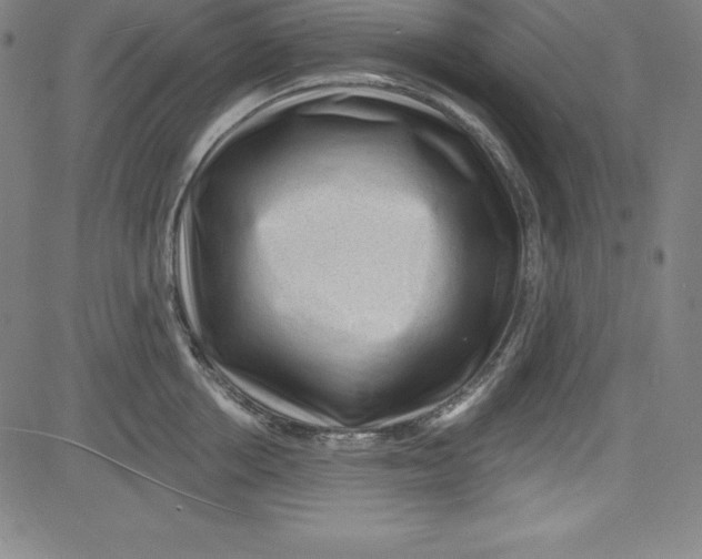 X0000081480858200702021856