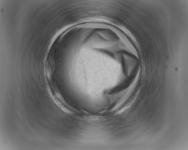 X0000081480862200702021856