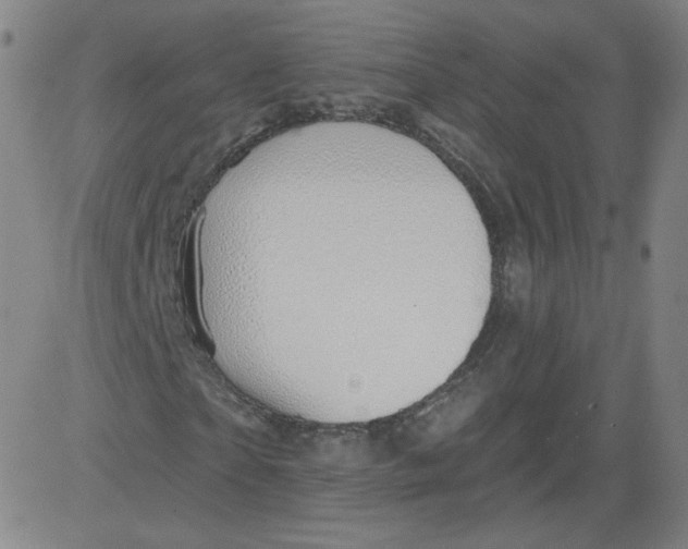 X0000081480865200702021855