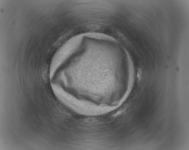 X0000081480867200702021855