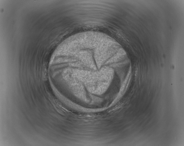 X0000081480868200702021855
