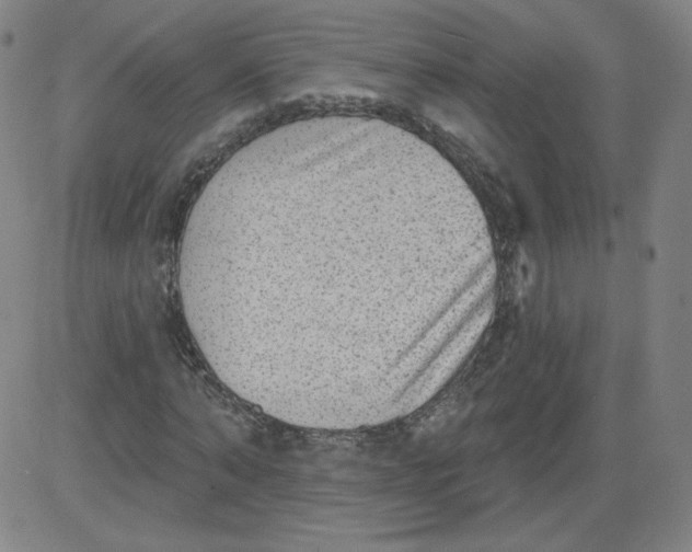 X0000081480870200702021855