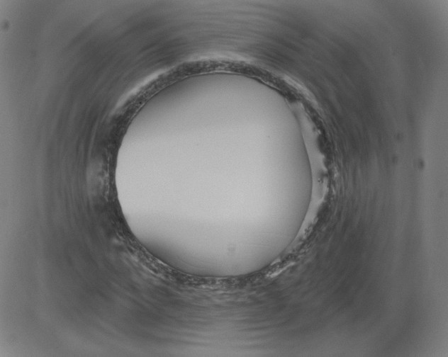 X0000081480872200702021855