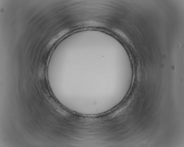 X0000081480873200702021855