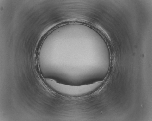 X0000081480876200702021855