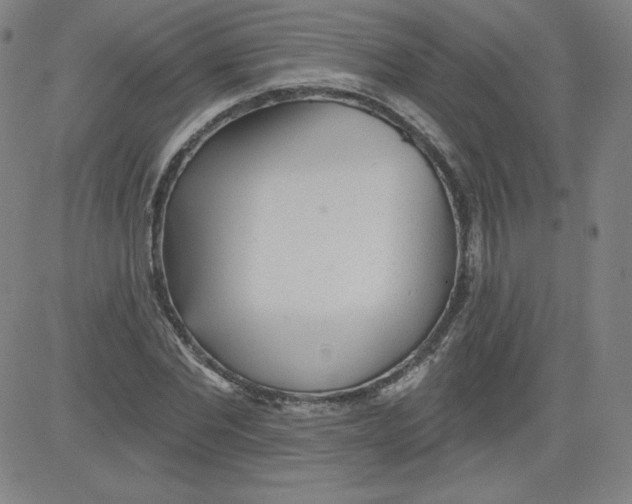 X0000081480877200702021855