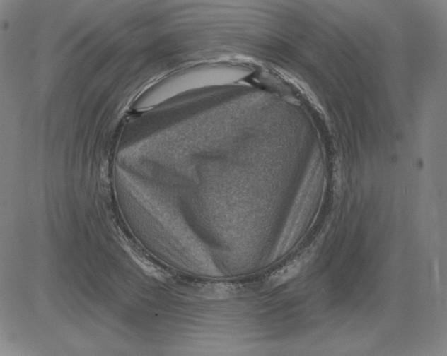 X0000081480881200702021855