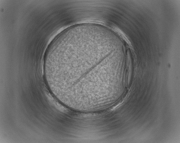 X0000081480892200702021855