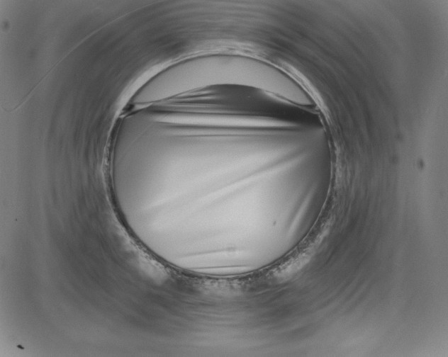 X0000081480901200702021855