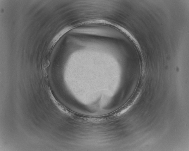 X0000081480905200702021855