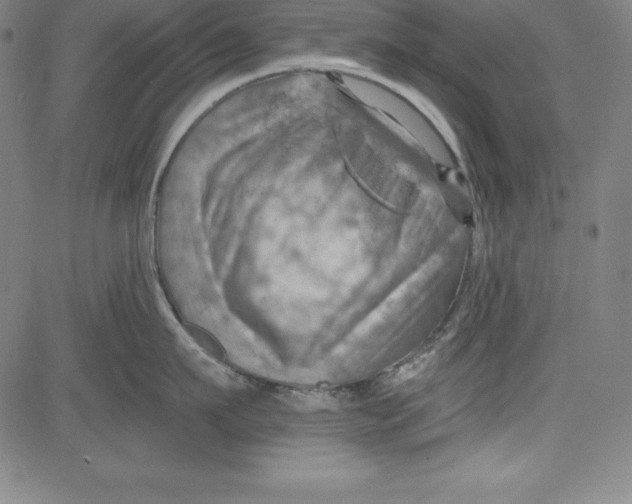 X0000081480911200702021854