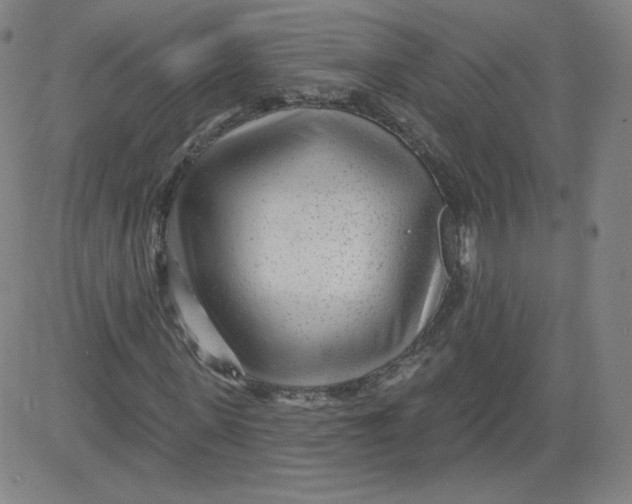 X0000081480915200702021854