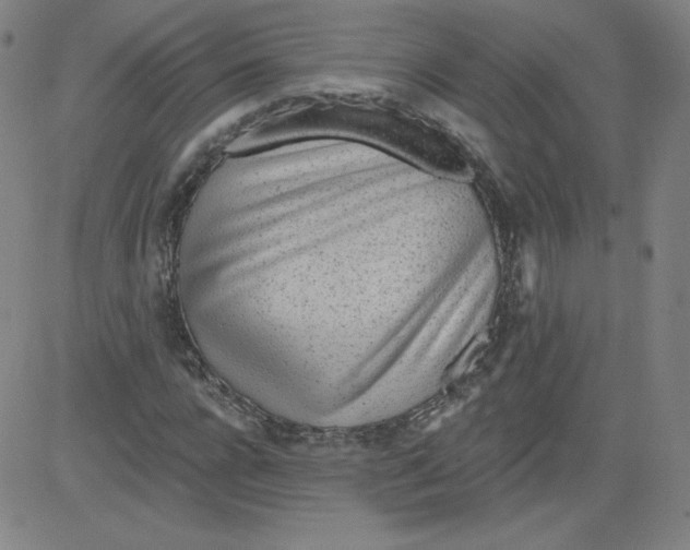 X0000081480920200702021854