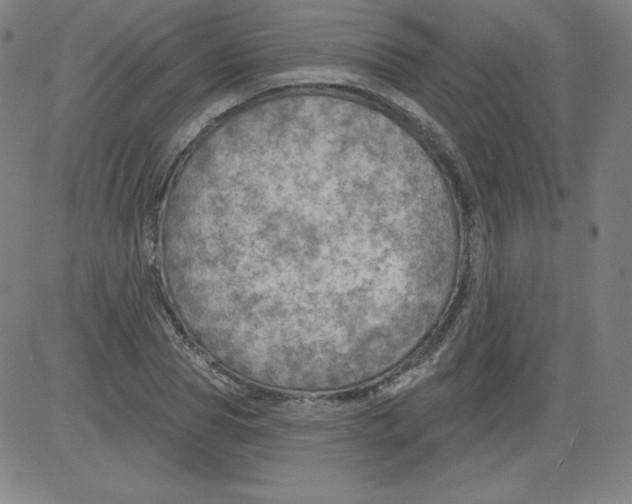 X0000081480929200702021854