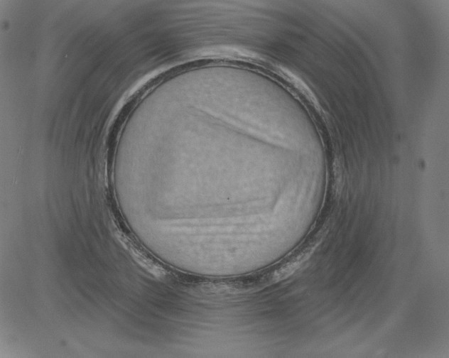X0000081480931200702021854