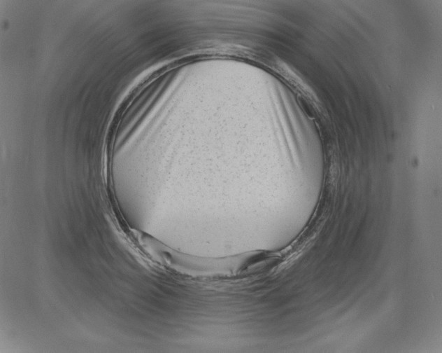 X0000081480940200702021854