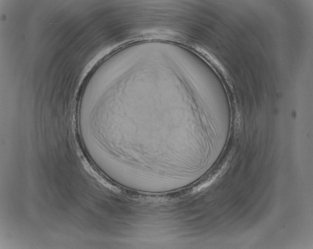 X0000081480941200702021854