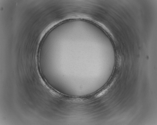 X0000081480943200702021854