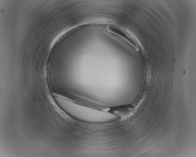 X0000081480944200702021854