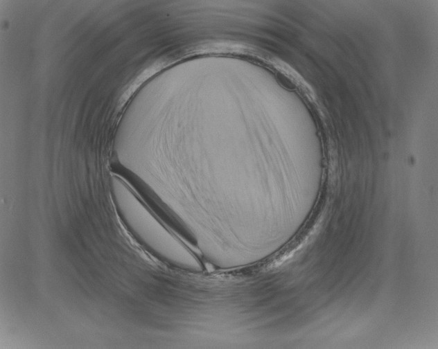 X0000081480945200702021854