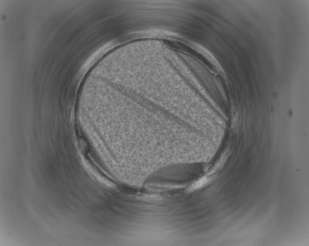 X0000081480946200702021854