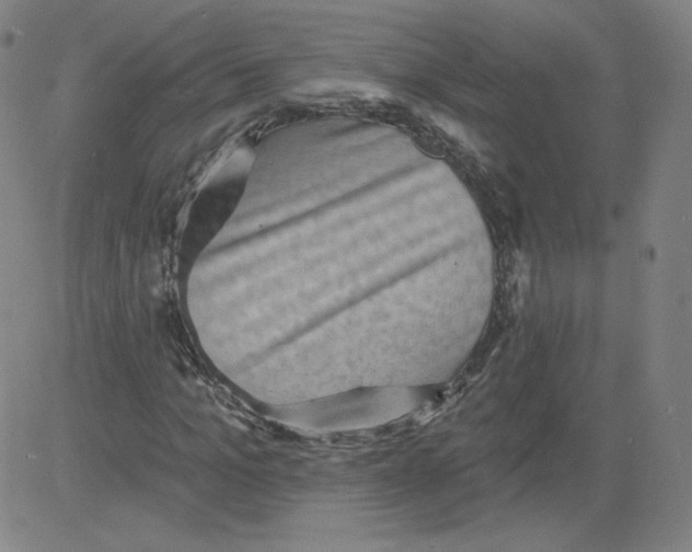 X0000081480965200702021854