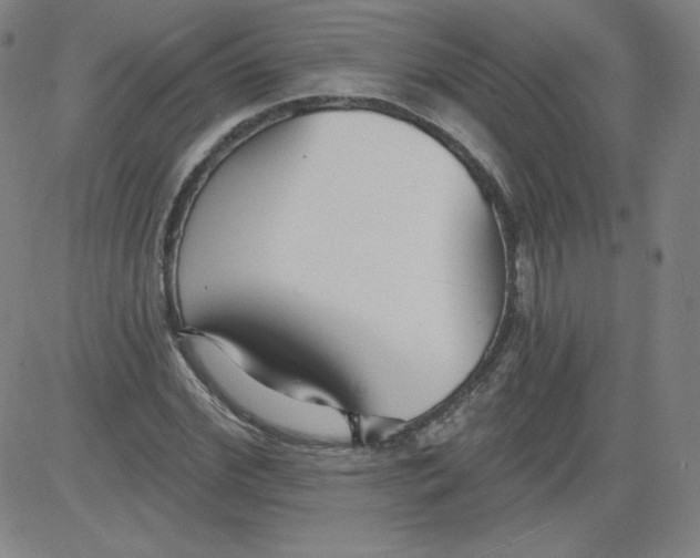 X0000081480972200702021853