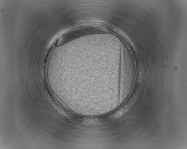 X0000081480978200702021853