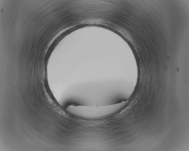 X0000081480984200702021853