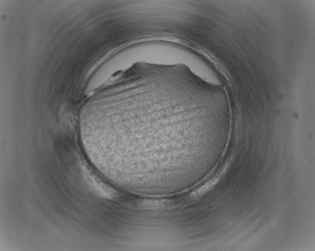 X0000081480985200702021853