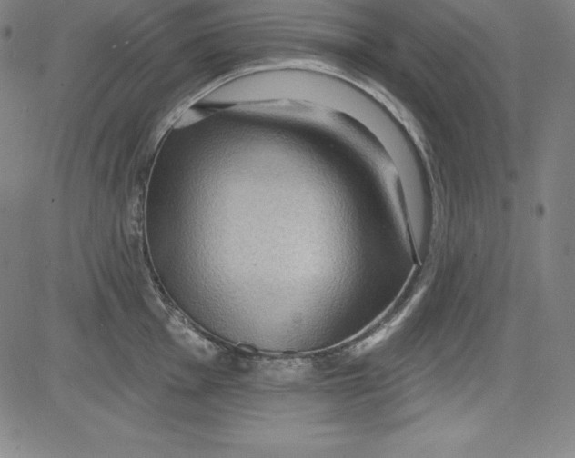 X0000081481001200702021853