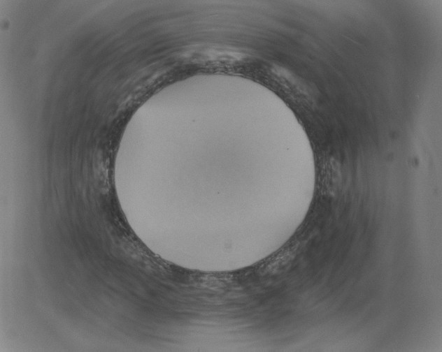 X0000081481013200702021852