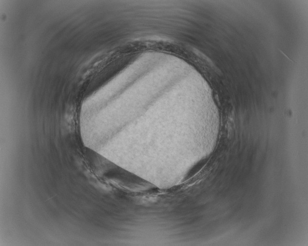 X0000081481014200702021852