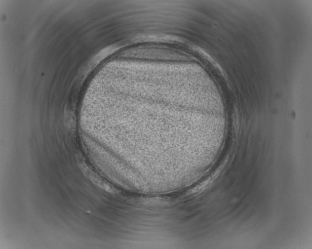 X0000081481025200702021852