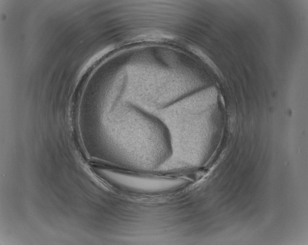 X0000081481026200702021852