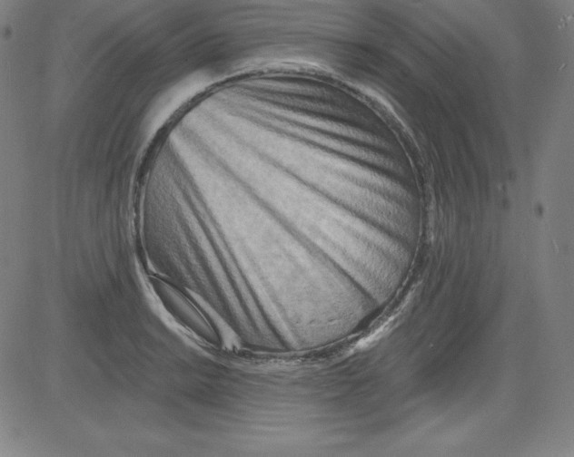 X0000081481038200702021853