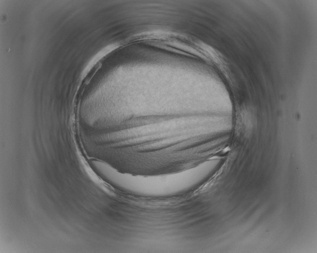 X0000081481042200702021853