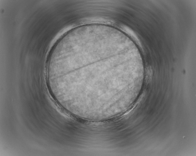X0000081481043200702021853