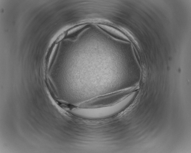 X0000081481046200702021853