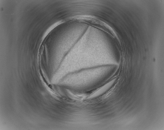 X0000081481050200702021853