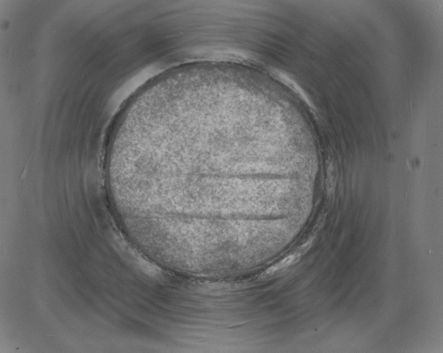 X0000081481071200702021852