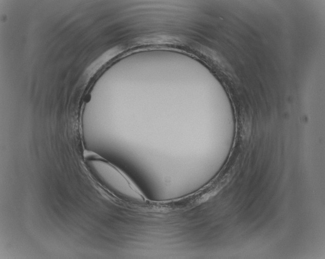 X0000081481073200702021852