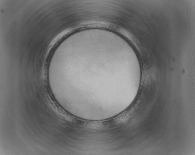 X0000081481074200702021852