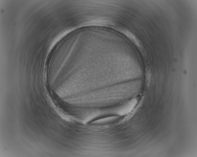 X0000081481077200702021852