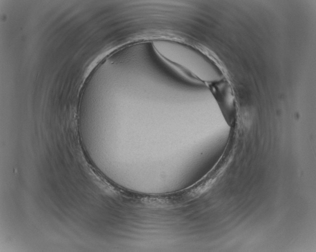 X0000081481089200702021852