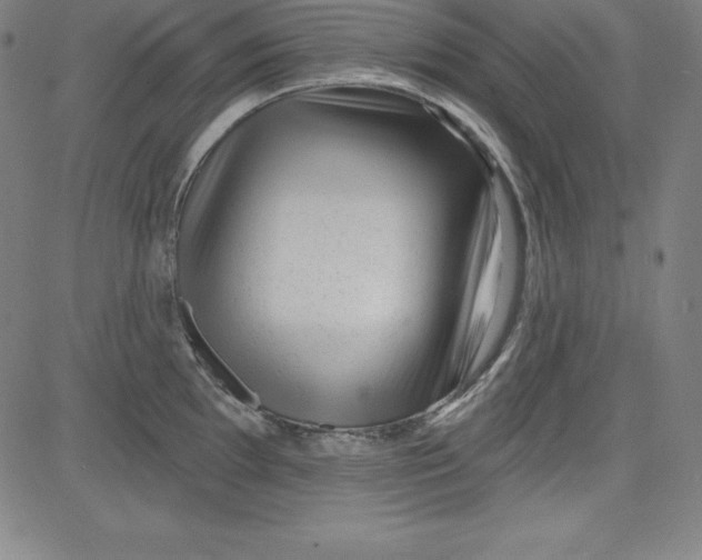 X0000081481097200702021851