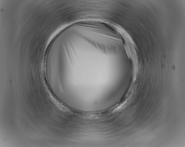 X0000081481101200702021851