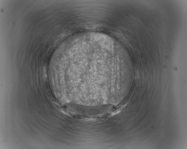 X0000081481106200702021851