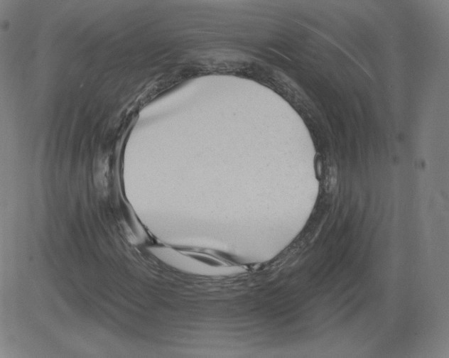 X0000081481108200702021851