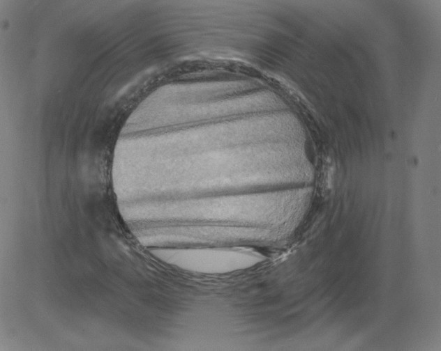 X0000081481110200702021851